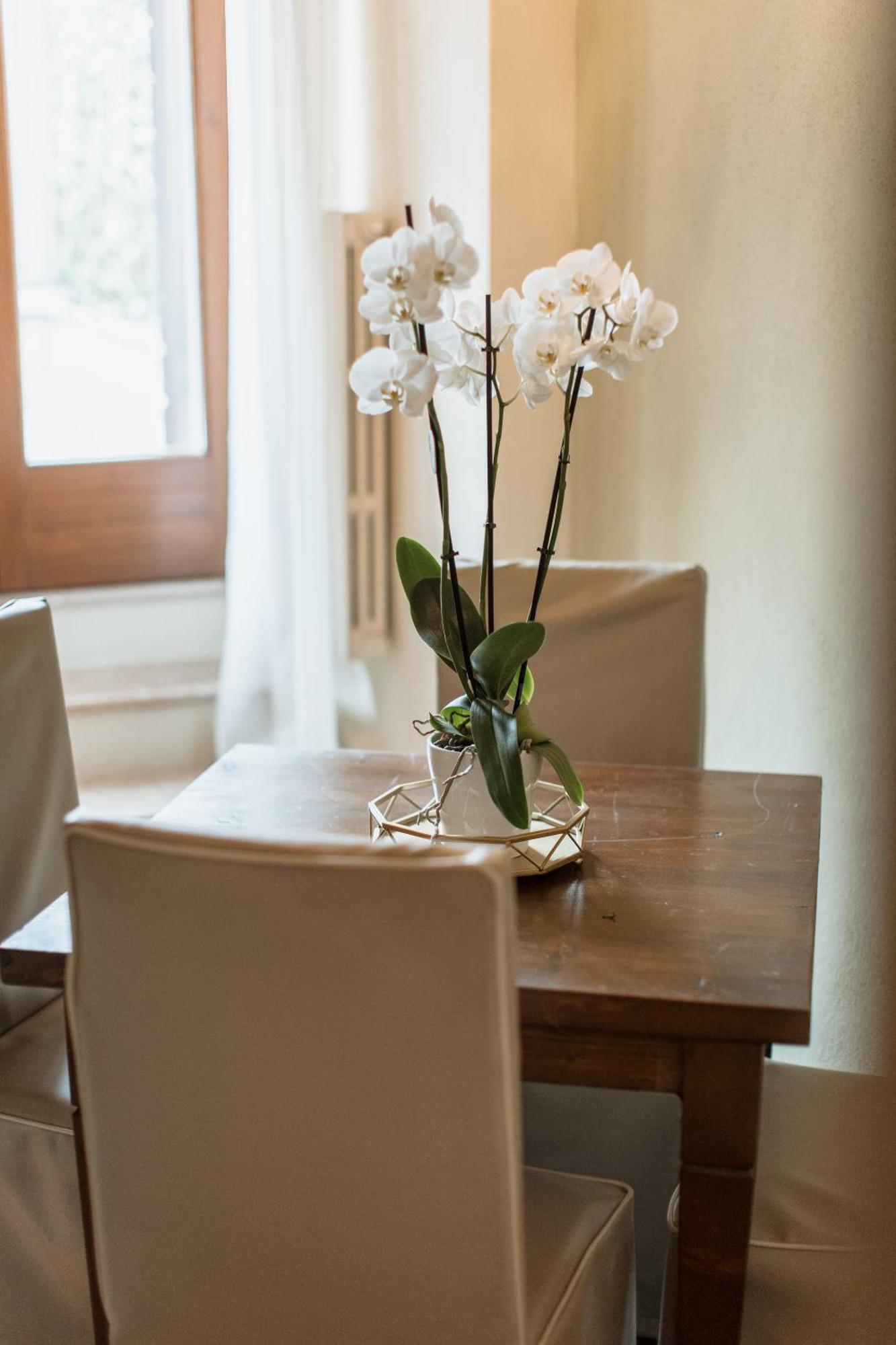 Osteria Luxury Apartments Peschiera del Garda Buitenkant foto